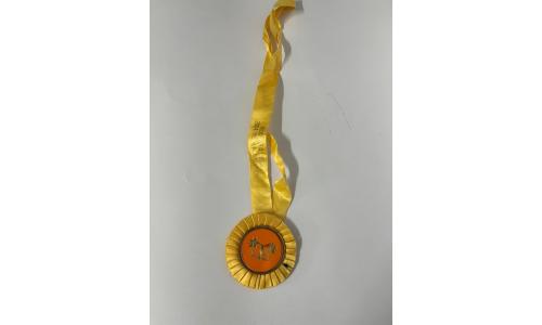 Medalha Reading Marathon 2004